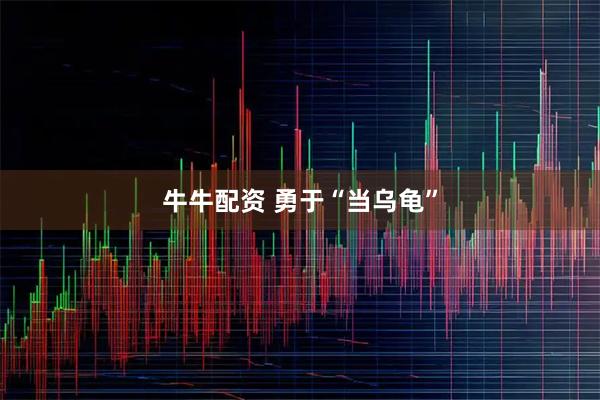 牛牛配资 勇于“当乌龟”