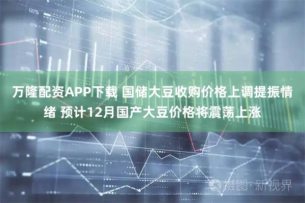 万隆配资APP下载 国储大豆收购价格上调提振情绪 预计12月国产大豆价格将震荡上涨