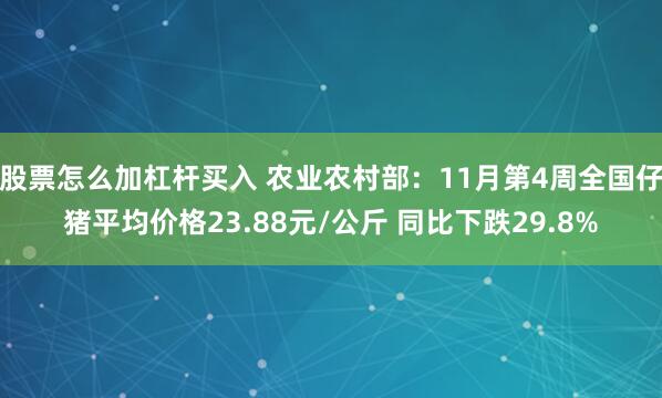 股票怎么加杠杆买入 农业农村部:11月第4周全国仔猪平均价格23.88元/公斤 同比下跌29.8%